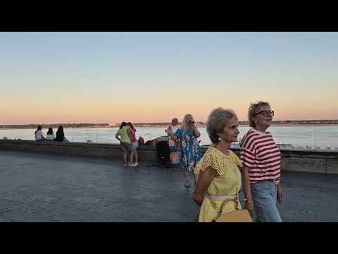 Видео: "Играет Дассен" - Любовь Сологубова 