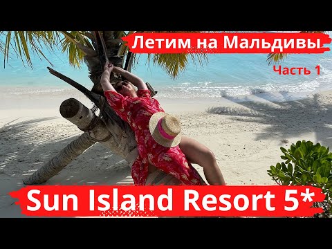 Видео: Sun Island Resort 5* Летим на Мальдивы, проверка в аэропорту,обзор отеля, кормление скатов