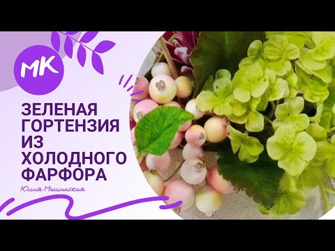 Видео: Мастер класс Зеленая гортензия из холодного фарфора