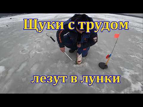 Видео: Ловля на жерлицы. Щучье Эльдорадо.
