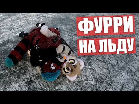 Видео: ФУРРИ на ЛЬДУ ✅ Покатались в ФУРСЬЮТАХ на коньках