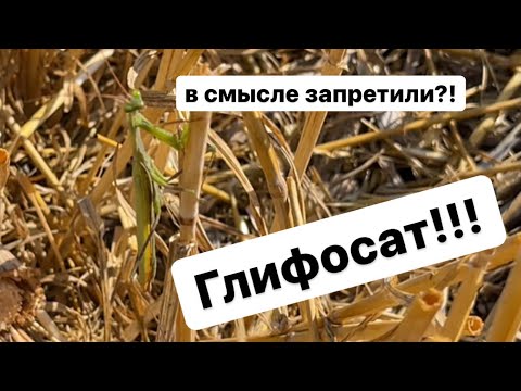 Видео: Глифосат. Мой опыт работы.