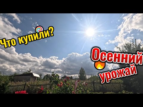 Видео: Огородная осень