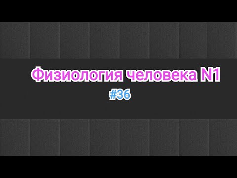 Видео: Физиология. Нервная регуляция сердце. #36