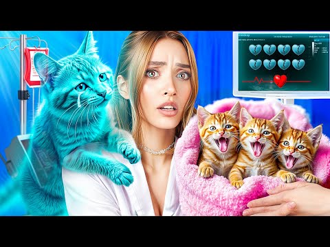Видео: Мы спасли бездомную кошку! Строим домик для котят