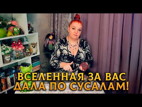 Видео: КОМУ ВСЕЛЕННАЯ ЗА ВАС ДАЛА, ДА ПО СУСАЛАМ!
