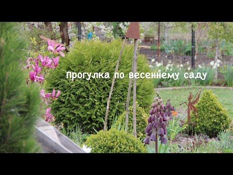 Видео: Ранняя весна в саду