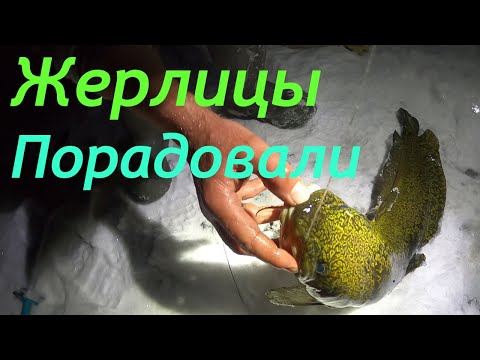 Видео: Лучшая погода для НАЛИМА, мы в этом заливе ПЕРВЫЕ, на аэролодке в труднодоступные места