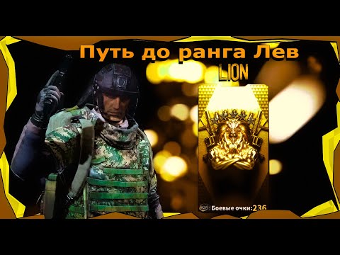 Видео: Lost light Наказал тимеров! Путь до ранга лев! Нарезка! Розыгрыш в конце видео!