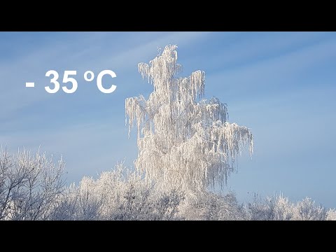 Видео: Мороз в Новосибирске