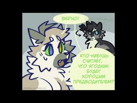 Видео: Коты воители озвучка комиксов приколы