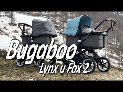 Видео: Bugaboo Fox 2 и Lynx - Сравнительный обзор от Boan Baby