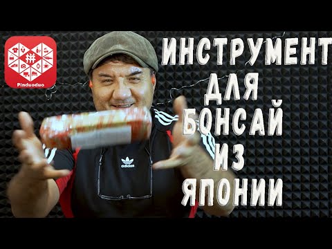 Видео: Инструмент для БОНСАЙ из Японии. Пиндоудоу распаковка.