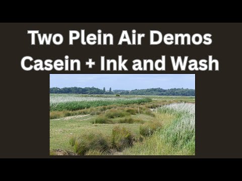 Видео: Две демонстрации пленэра: пейзажи в технике кедр, тушь и акварель