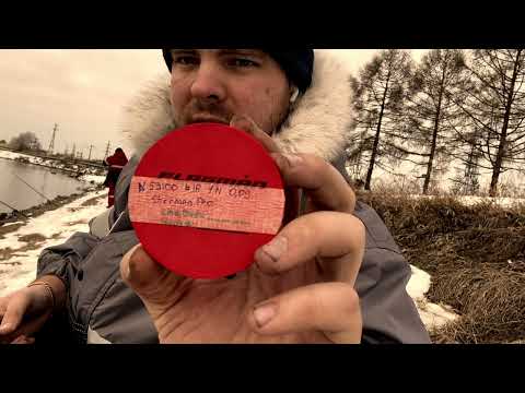 Видео: Рефтинский. Рыбалка на холодном канале. 19.03.22г