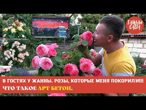 Видео: ЧТО ТАКОЕ АРТ БЕТОН. В ГОСТЯХ У ЖАННЫ. РОЗЫ, КОТОРЫЕ МЕНЯ ПОКОРИЛИ. САД ЖАННЫ В ИЮЛЕ. ОБЗОР РОЗ.