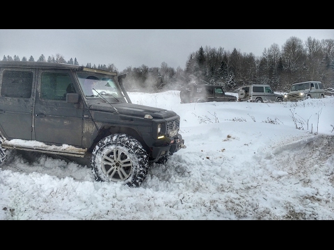 Видео: 4 Гелендвагена и Раптор на бездорожье