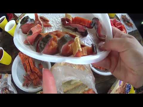 Видео: Кунашир