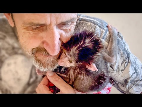 Видео: ОЧЕНЬ СТРАННО! Степашка уже  СУТКИ не отпускает меня ни на шаг даже ночью!