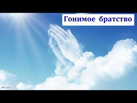 Видео: Гонимое братство. П. Н. Ситковский. МСЦ ЕХБ
