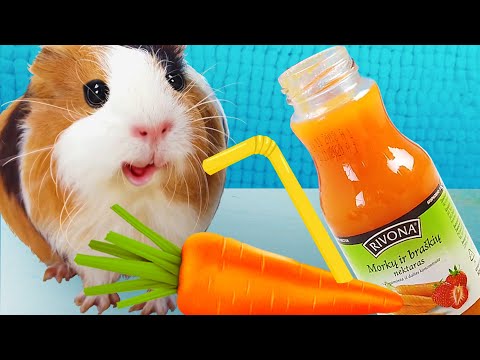 Видео: УГАДАЙ НАПИТОК ЧЕК ЧЕЛЛЕНДЖ! Насколько Хорошо МЫ ЗНАЕМ ВКУСЫ? От Свинка Бузя