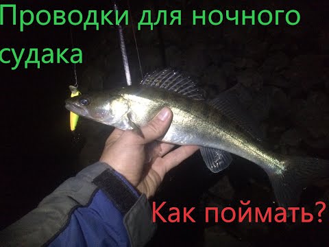 Видео: Проводки на ночного судака. Судак Ночью.
