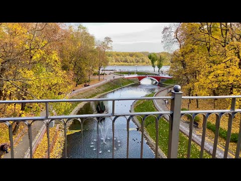 Видео: Осенняя прогулка 🍁Беларусь, ГОМЕЛЬ 🍁 Октябрь 2022 - С субтитрами!