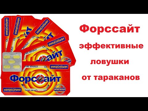 Видео: Форссайт (Форсайт) клеевые ловушки от тараканов