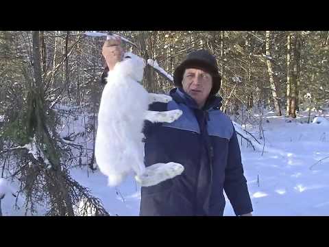 Видео: Ставим петли.  Часть 4, рыбачим