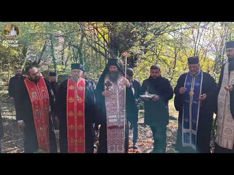 Видео: Бесједа владике Илариона на Литургији и на четрдесетодневном помену монаху о. Илији 11.11.2025.љ.Г.