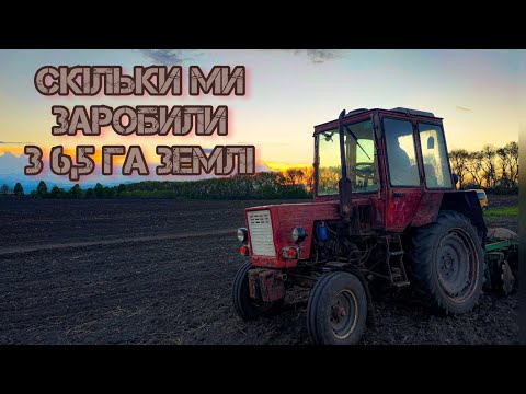 Видео: Скільки ми заробили з 6,5га землі за один рік?