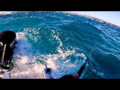 Видео: Вы бы ловили рыбу здесь? Или переехали?