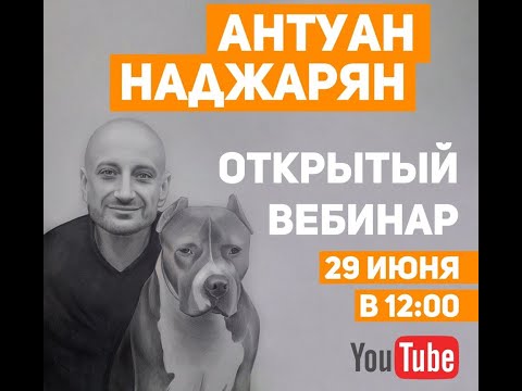 Видео: Частые ошибки в отношениях с собаками. Вебинар Антуана Наджаряна