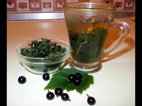 Видео: Чай из листьев черной смородины