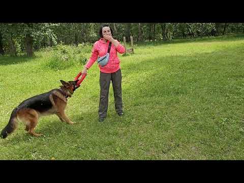 Видео: 262. Упражнение "место", для ОКД.