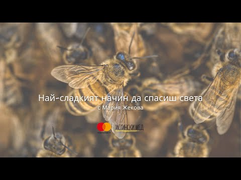 Видео: Най-сладкият начин да спасиш света Еп.1 "Мария и родопската пчела"