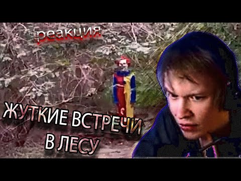 Видео: ДИПИНС СМОТРИТ: 6 Самых Жутких Встреч в Лесу Снятых На Камеру