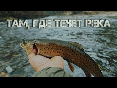 Видео: ФИНАЛЬНАЯ РЫБАЛКА 2024! ЗАКРЫТИЕ СЕЗОНА ЖИДКОЙ ВОДЫ | Горная рыбалка