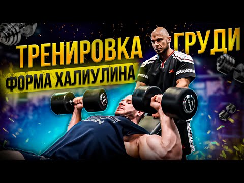 Видео: РОМКА ПОДРОС! | БАТОНЧИКИ | МАШИНА | КЛУБ 500 | БОЛТАЕМ В ЗАЛЕ | ОЛИМПИЯ |ХАЛЕЦКИЙ ХАЛИУЛИН
