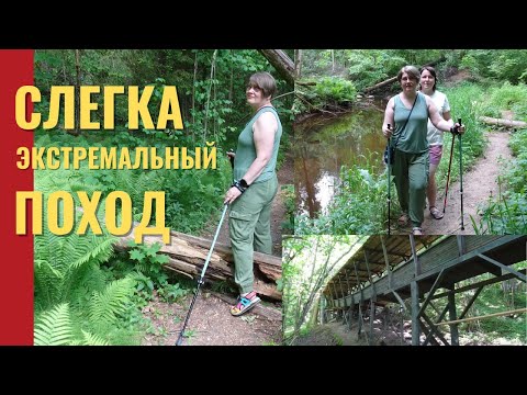 Видео: Немного экстремальная прогулка. Речка Лоя и её берега.