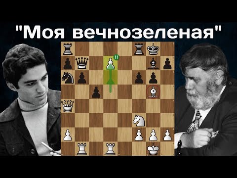 Видео: Блестящая партия 16-летнего Гарри Каспарова! Гарри Каспаров - Йозеф Пршибыл. Скара 1980. Шахматы