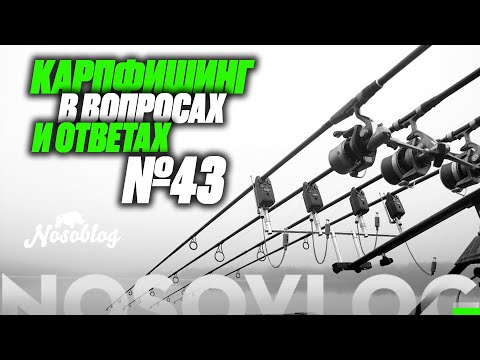 Видео: Карпфишинг в вопросах и ответах # 43, А. Колесников