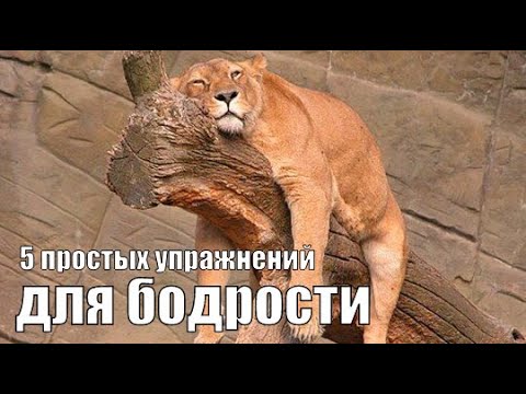 Видео: Бодрячком.  5 простых упражнений чтобы взбодриться.