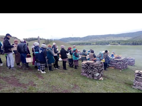 Видео: 16.05.2024г. село Мендур-Соккон. Мӱргӱӱл Jажыл бӱр/Жёлтая листва.