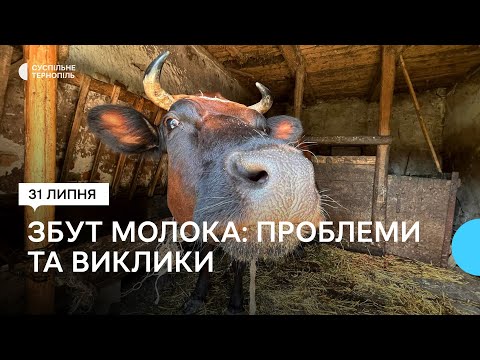 Видео: Люди не задоволені ціною, за якою приймають коровʼяче молоко
