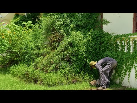 Видео: [РАДОСТНОЕ ПРЕОБРАЖЕНИЕ] Результат уборки двухлетнего заброшенного здания