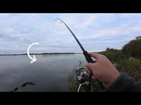 Видео: 🎣 Берегова риболовля на СУДАКА — день, коли я залишився без клювання 😤