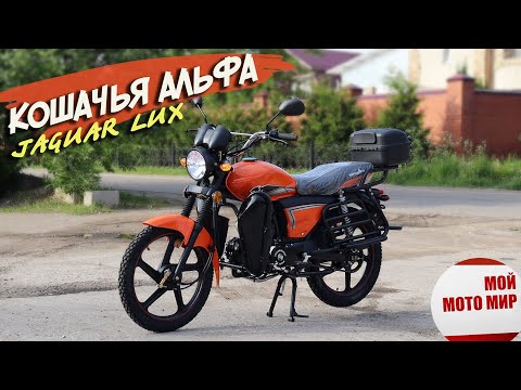 Видео: Мопед New Jaguar Lux или новая кошачья Альфа Ягуар в лучшем обвесе в 2021 году