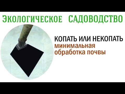 Видео: Копать или не копать. Минимальная обработка почвы. Видеолекция