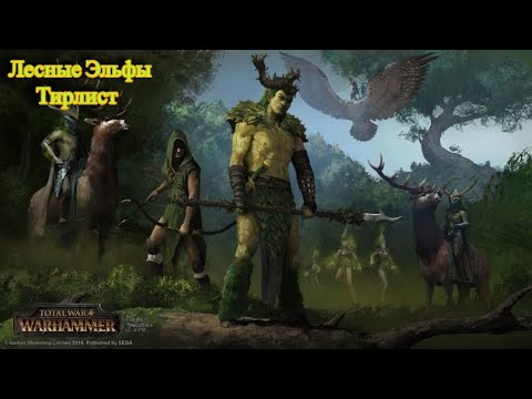 Видео: Total War: Warhammer 3. Тирлист. Лесные Эльфы